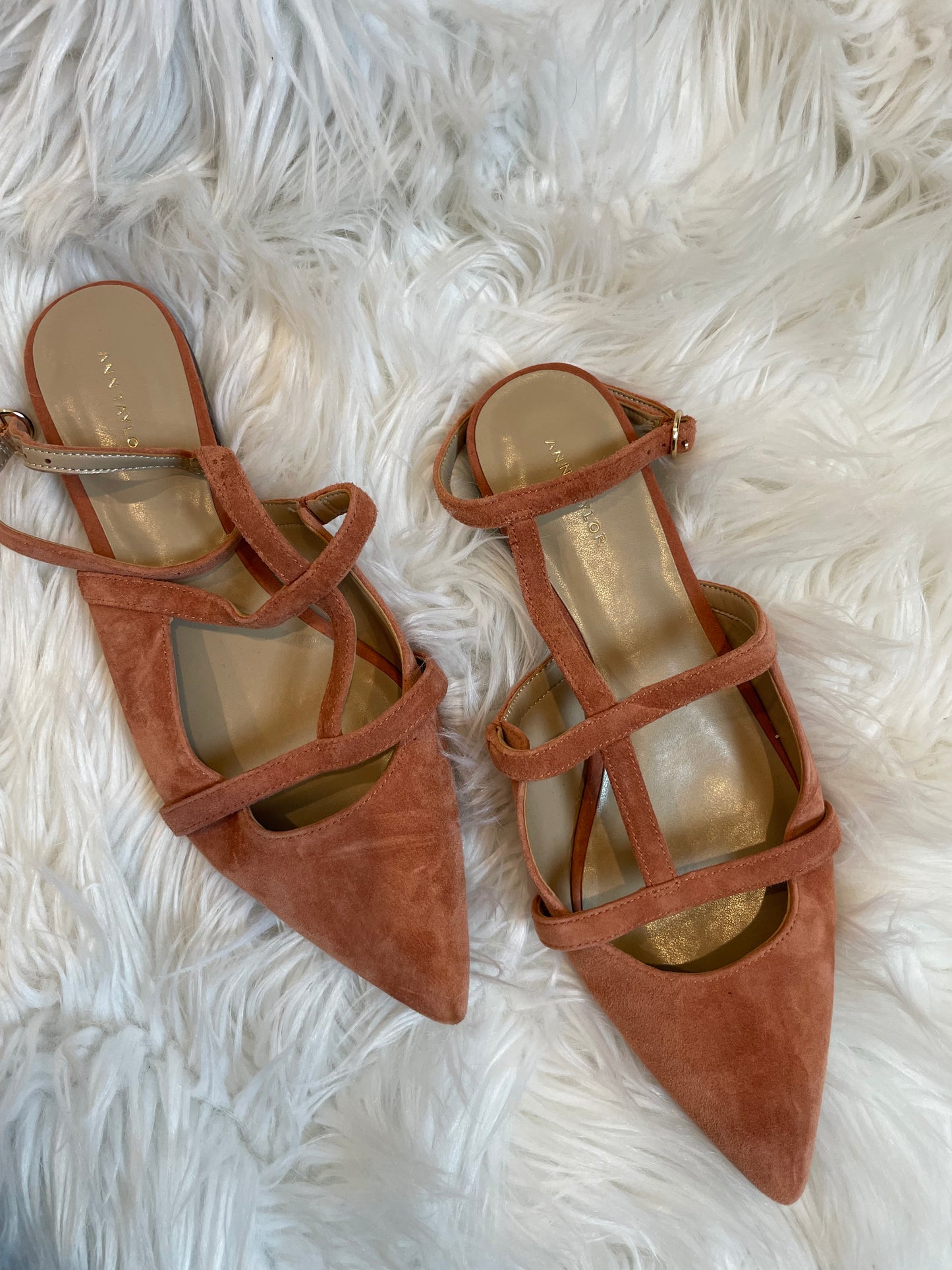 Ann Taylor pointed flats Size 7.5