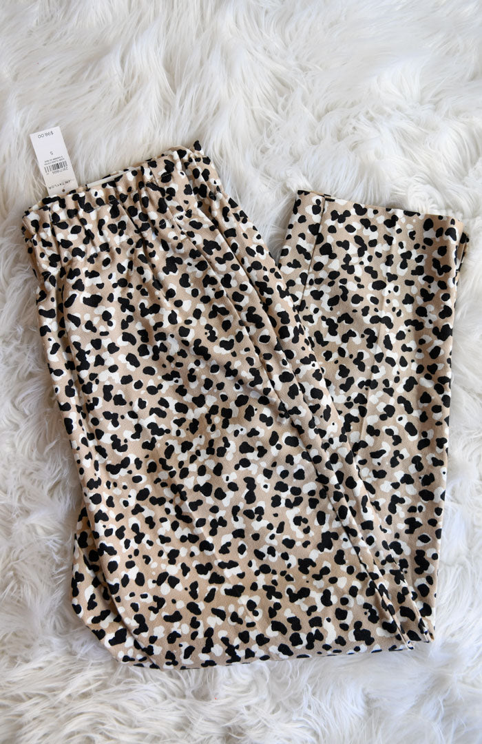 Ann Taylor high rise pants Size S / NWT