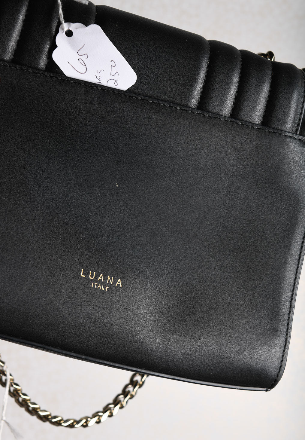 Luana Italy Rose Smoke embellished Devon crossbody