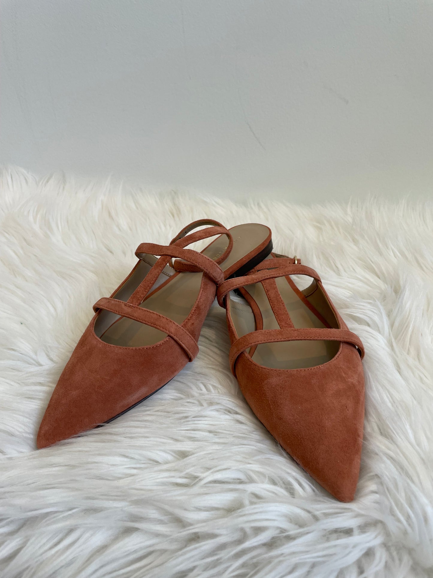 Ann Taylor Pointy Toe T-Strap Suede Flat Missy Size 8.5