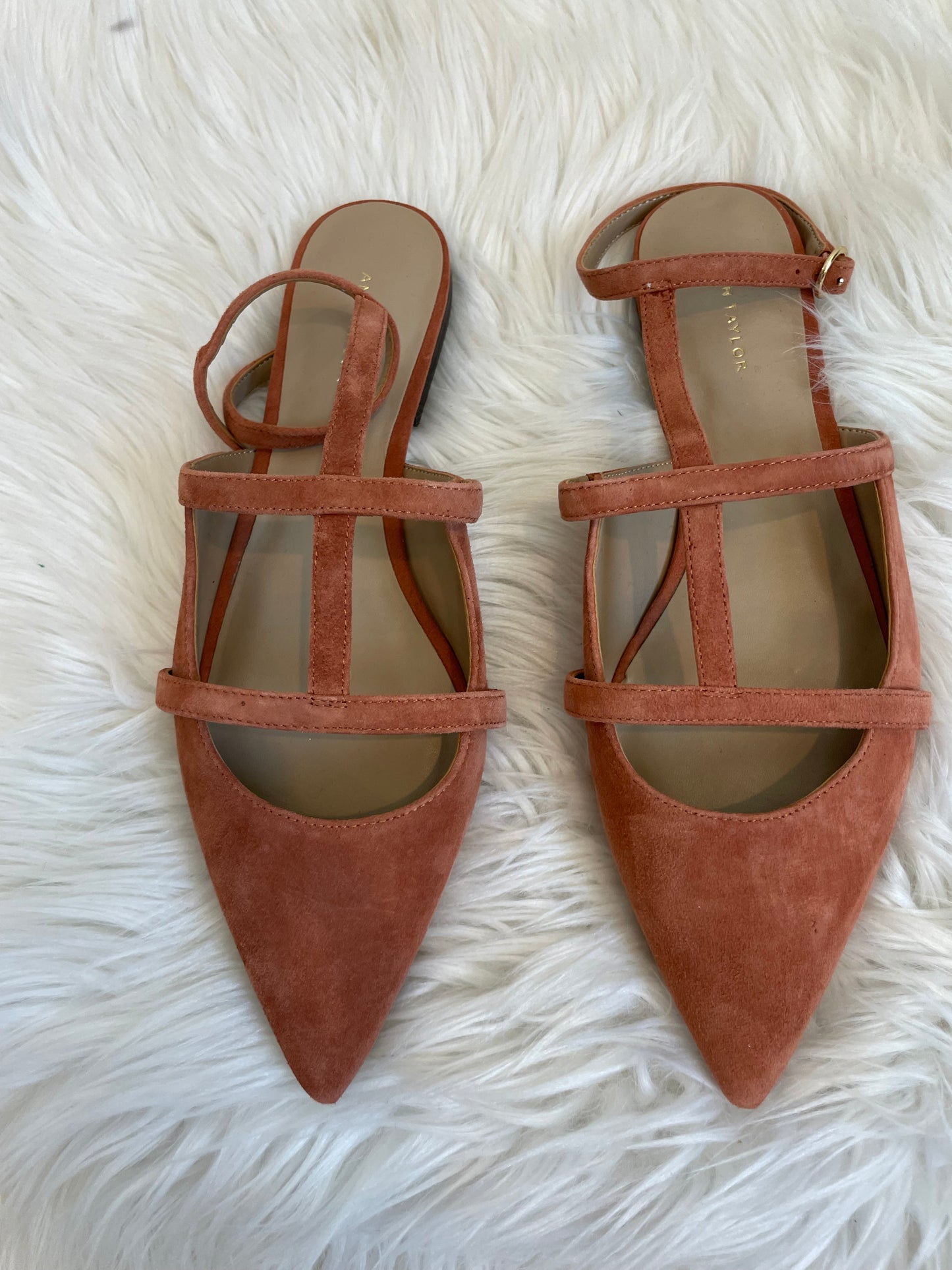 Ann Taylor Pointy Toe T-Strap Suede Flat Missy Size 8.5