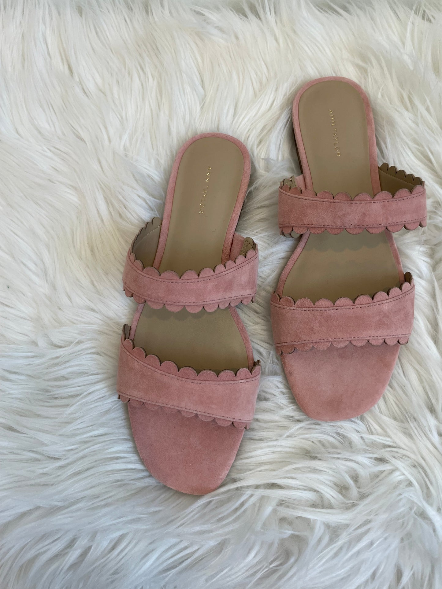 Ann Taylor Jean Scalloped Flat Sandals Size 8