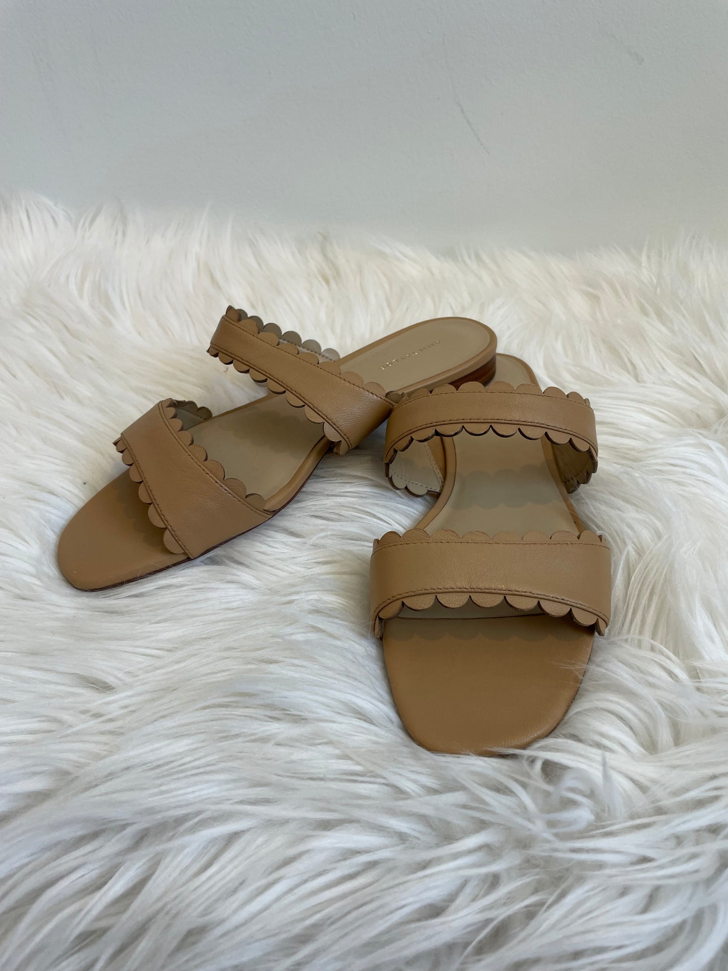 Ann Taylor Jean Scalloped Flat Sandals Size 7