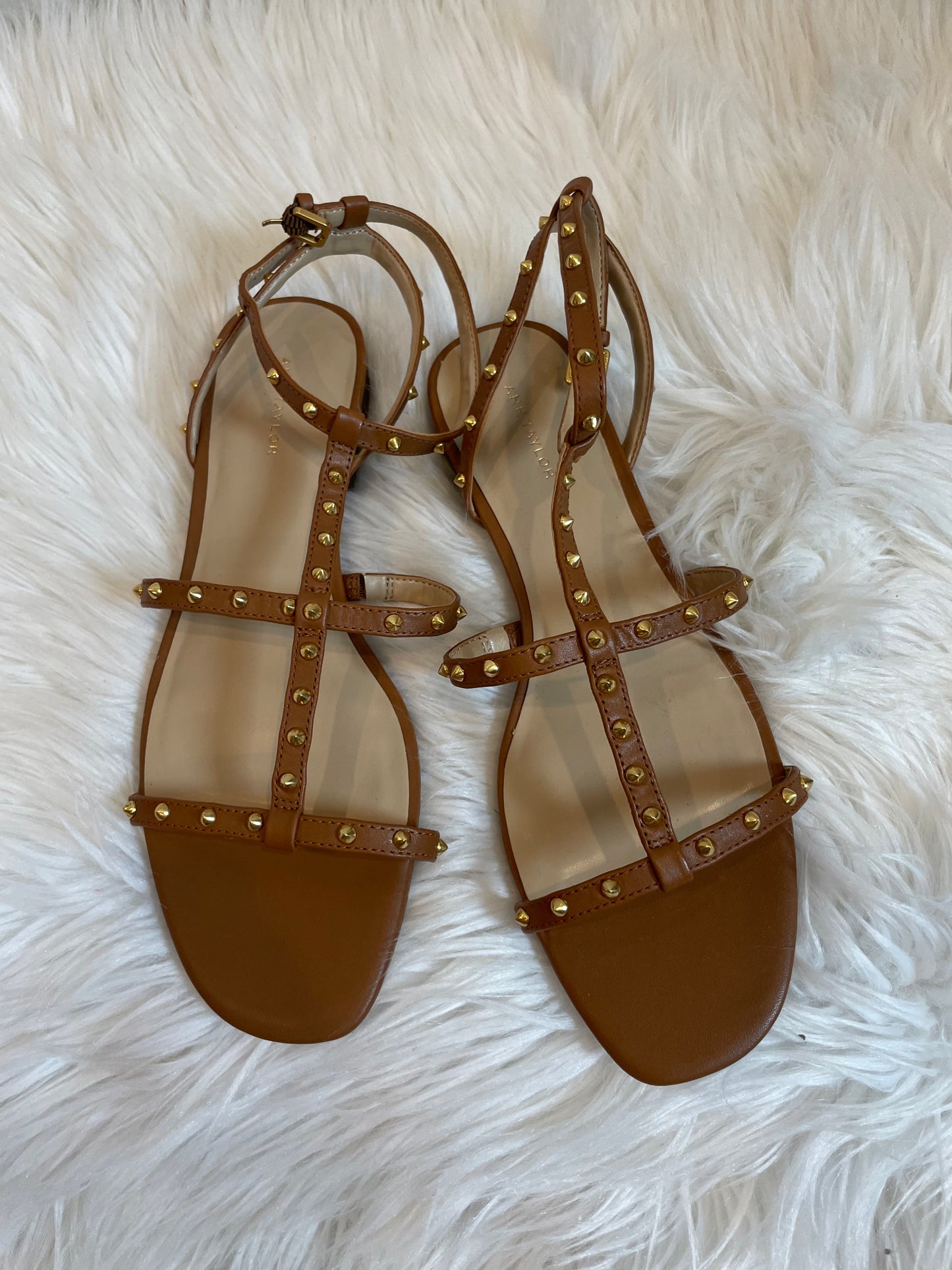 Ann Taylor Belen leather gladiator sandals Size 8