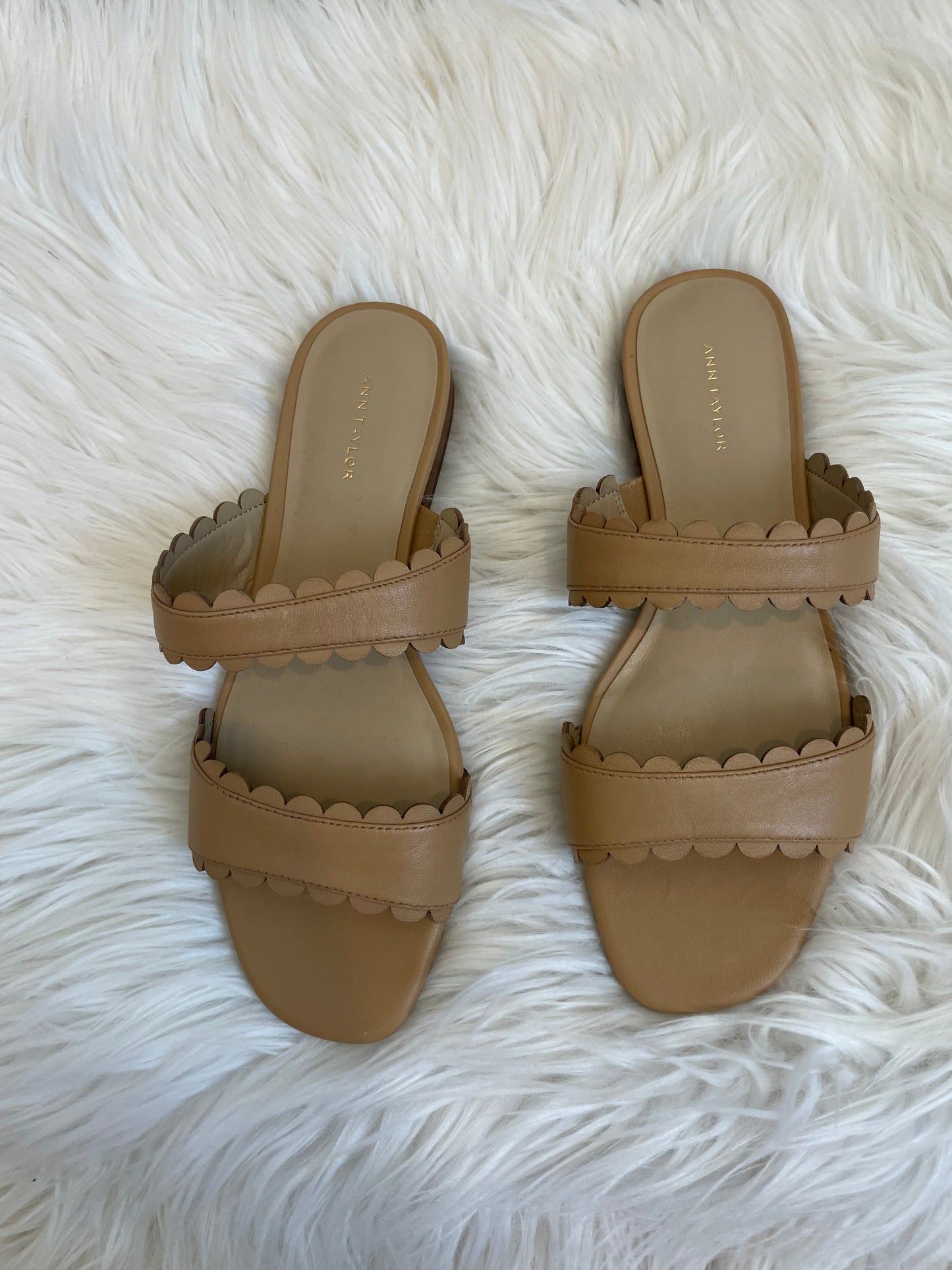 Ann Taylor Jean Scalloped Flat Sandals Size 7