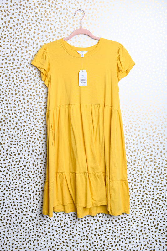 Time and Tru short sleeve flare dress\XS\NWT