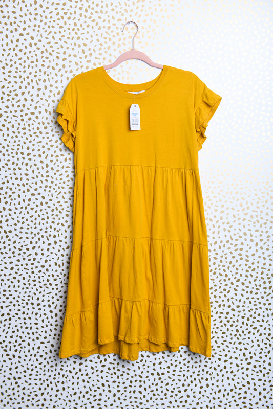 Time and Tru short sleeve flare dress\XS\NWT