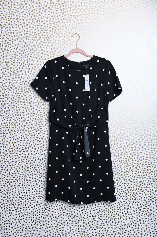 Ann Taylor short sleeve dress with tie detail\4\NWT