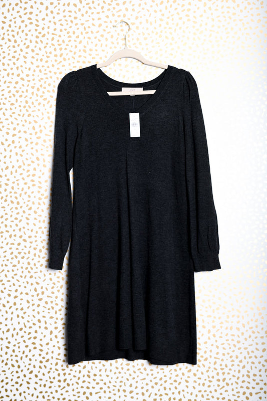 Loft long sleeve mini sweater dress Size S/ NWT