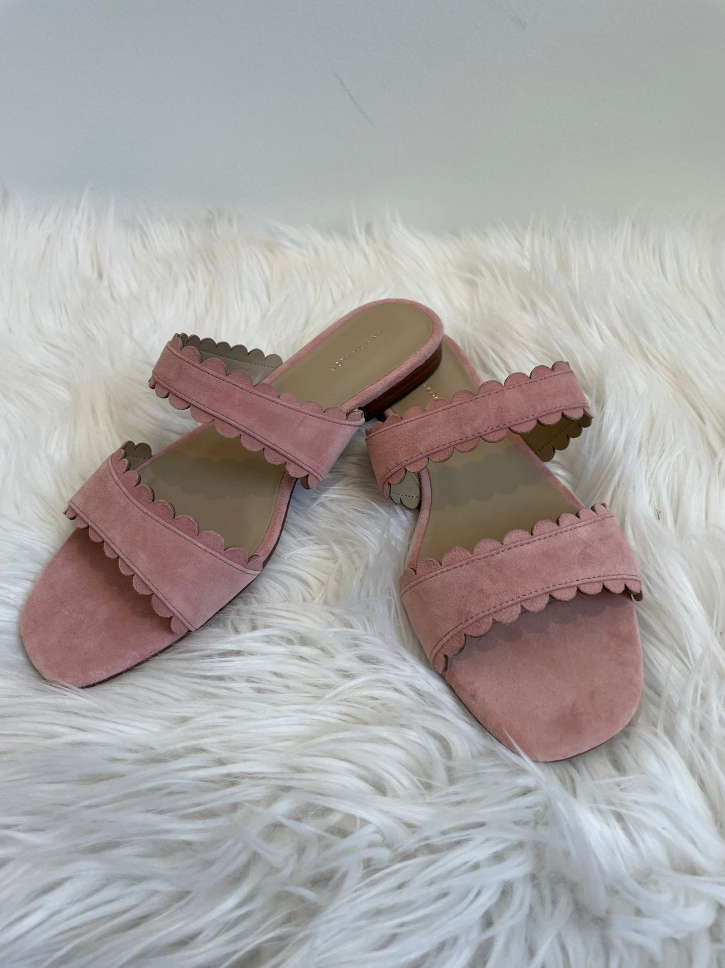 Ann Taylor Jean Scalloped Flat Sandals Size 8